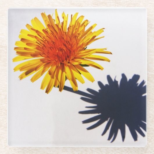 タンポポとシャドーの彗星 ガラスコースター (正面)