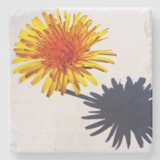 タンポポとシャドーの彗星 ストーンコースター (正面)