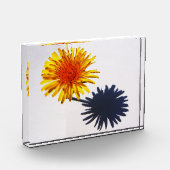 タンポポとシャドーパクnm フォトブロック (左)