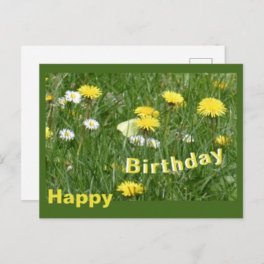 タンポポとハルジオンの草原　誕生日ポストカード ポストカード (正面/裏面)