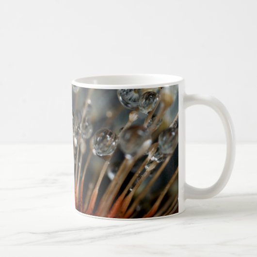 タンポポと水滴、カリフォルニア コーヒーマグカップ (右)