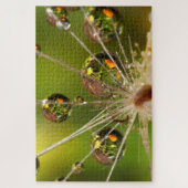 タンポポと水滴 ジグソーパズル (縦)