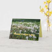 タンポポと父の日のユーモア カード (黄色い花)