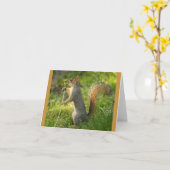 タンポポのイメージの見つけられたリス カード (黄色い花)