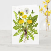 タンポポのコレクション カード (黄色い花)