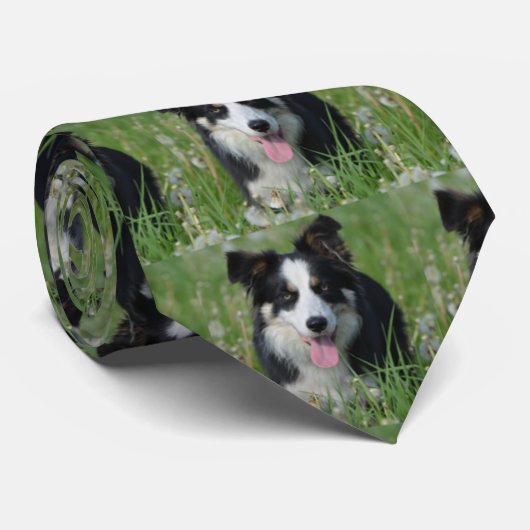 タンポポのタイのボーダーコリー ネクタイ (ロール)