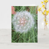タンポポのバースデー・カード カード (黄色い花)