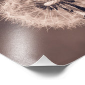 タンポポのブロボール閉じるセピア フォトプリント            (角)