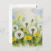 タンポポのポストカード ポストカード (正面/裏面)