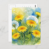 タンポポのポストカード ポストカード (正面/裏面)
