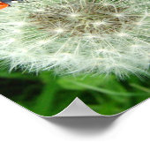 タンポポのラディバグ ポスター (角)