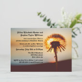 タンポポの写真 - 結婚発表 招待状 (スタンド正面)