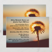 タンポポの写真 - 結婚発表 招待状 (正面/裏面)