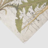 タンポポの原稿のDecoupageのティッシュシート 薄葉紙 (詳細)