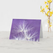 タンポポの小花 カード (黄色い花)
