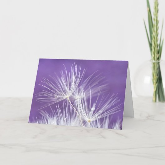 タンポポの小花 カード (正面)