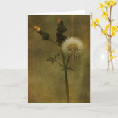 タンポポの挨拶状 カード (黄色い花)