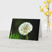 タンポポの挨拶状、中ブランク カード (黄色い花)