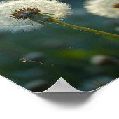 タンポポの時計が願いを叶える ポスター (角)