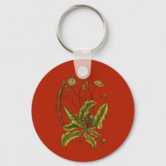 タンポポの植物画 キーホルダー (正面)