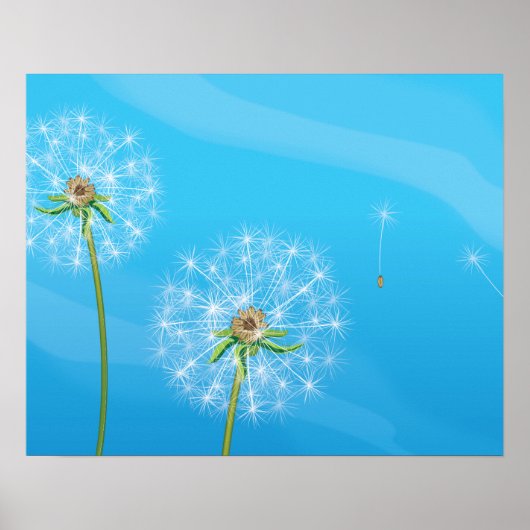 タンポポの植物 ポスター (正面)