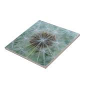 タンポポの白い模様 タイル (側面)