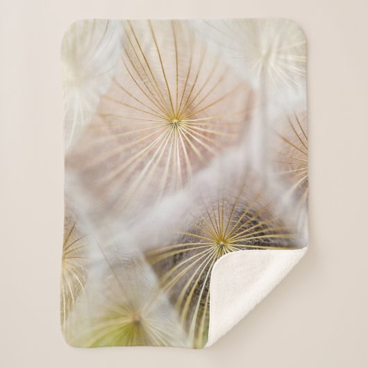 タンポポの白い花 シェルパブランケット (正面)