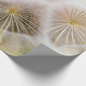 タンポポの白い花 ラッピングペーパー (角)