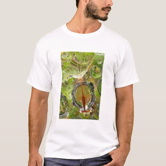タンポポの種の水滴、カリフォルニア Tシャツ (正面)
