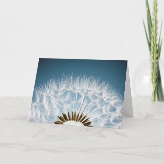 タンポポの種 カード (正面)