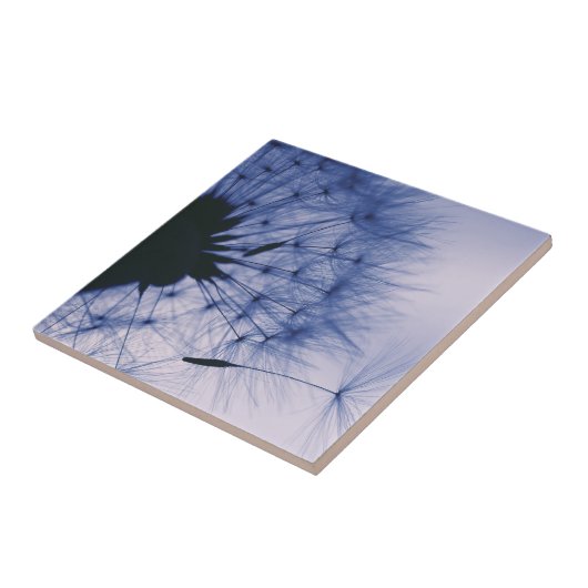 タンポポの種 タイル (側面)