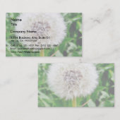 タンポポの種 名刺 (正面/裏面)