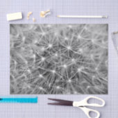 タンポポの綿毛のマクロ 薄葉紙 (クラフト)