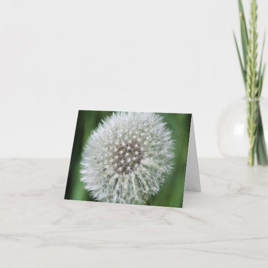 タンポポの綿毛の花の写真 ノートカード (正面)