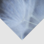 タンポポの綿毛 薄葉紙 (詳細)