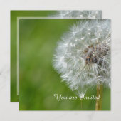 タンポポの花の誕生日 招待状 (正面/裏面)