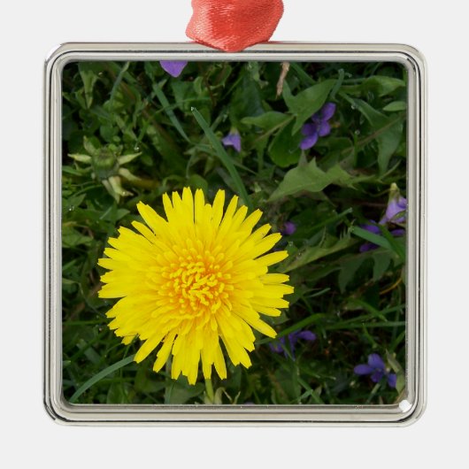 タンポポの花 メタルオーナメント (正面)