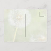 タンポポの花 想いを込めて (私の撮影) ポストカード (裏面)