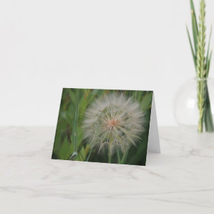 タンポポのnotecards カード