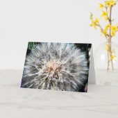 タンポポのWhispsの挨拶状 カード (黄色い花)