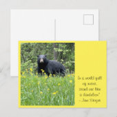 タンポポはがきに見える ポストカード (正面/裏面)