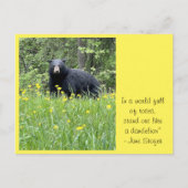 タンポポはがきに見える ポストカード (正面)