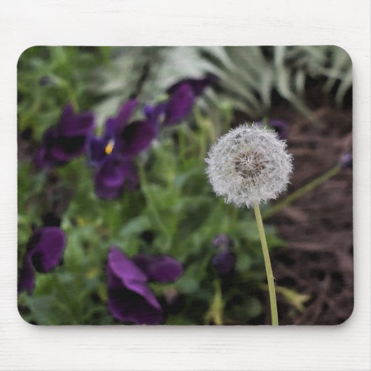 タンポポ及びパンジーのマウスパッド マウスパッド (正面)