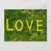 タンポポ愛 ポストカード (正面)