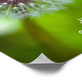 タンポポ来ンよ ポスター (角)