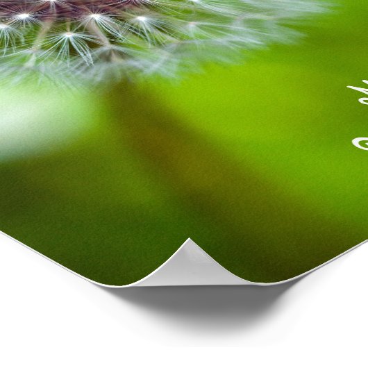 タンポポ来ンよ ポスター (角)