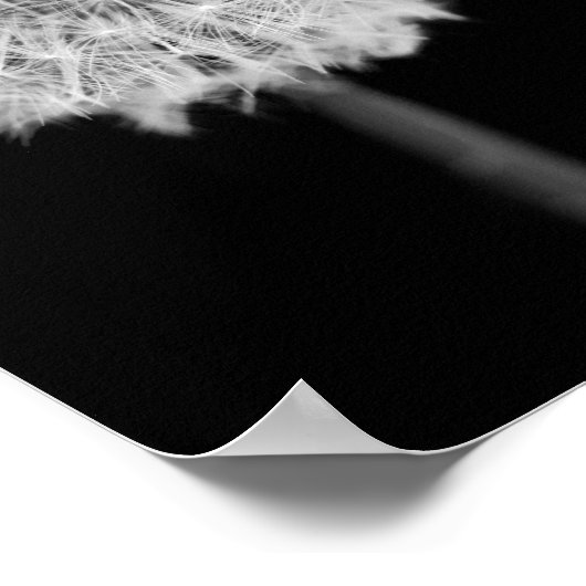 タンポポ来ンよ ポスター (角)