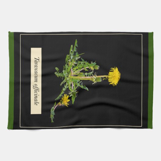 タンポポ植物学 キッチンタオル (横)