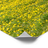 タンポポ畑 ポスター (角)