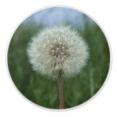 タンポポ種子ドレッサーノブ セラミックノブ (正面)